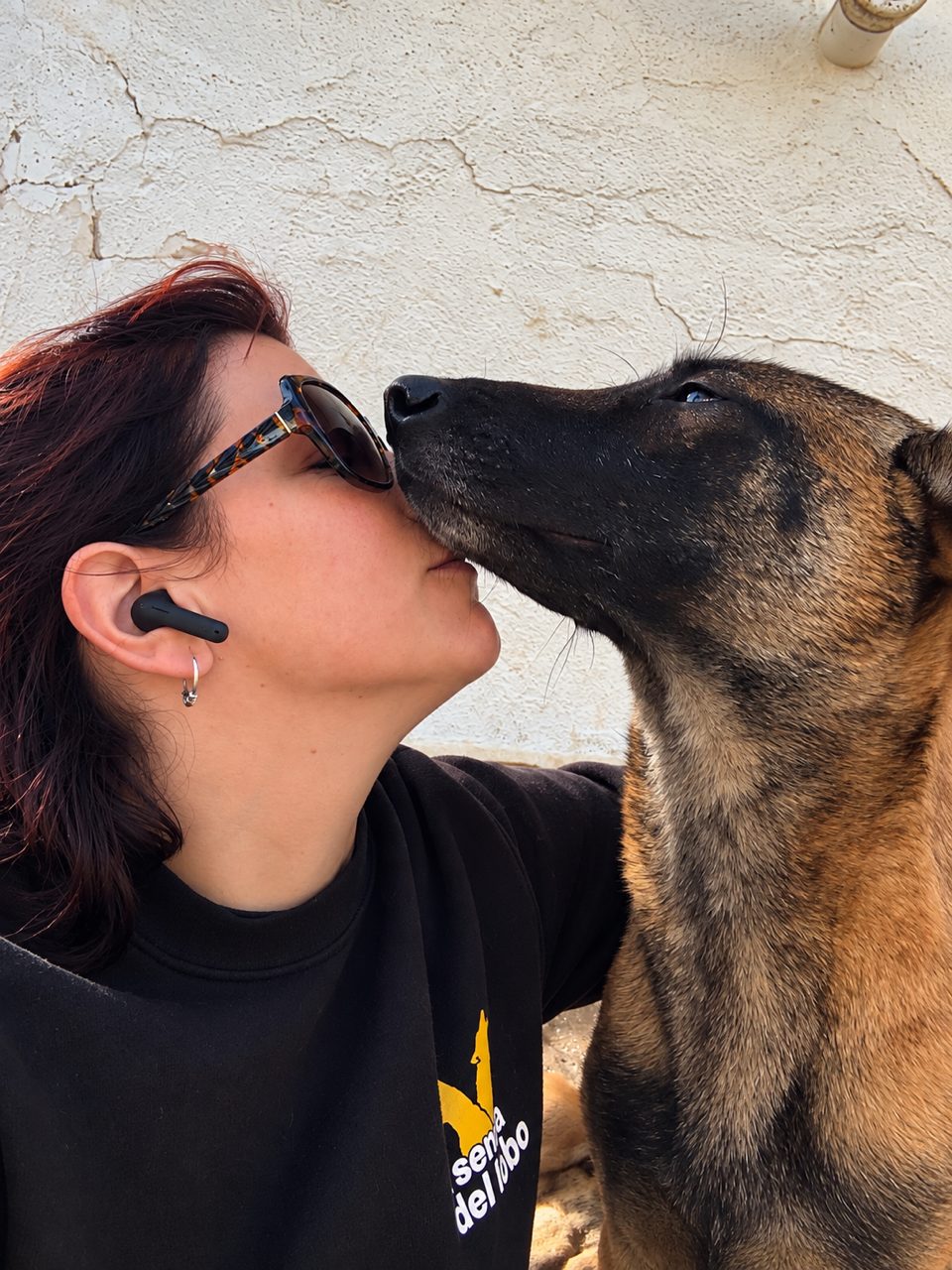 Pastor belga malinois dando un beso a su educadora