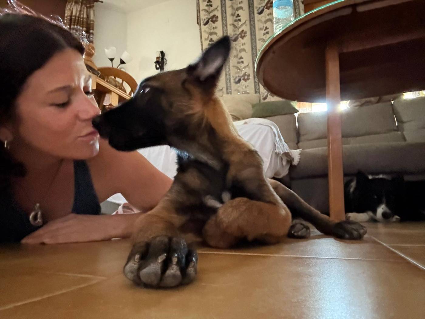 Educadora dando un beso a un cachorro de pastor belga